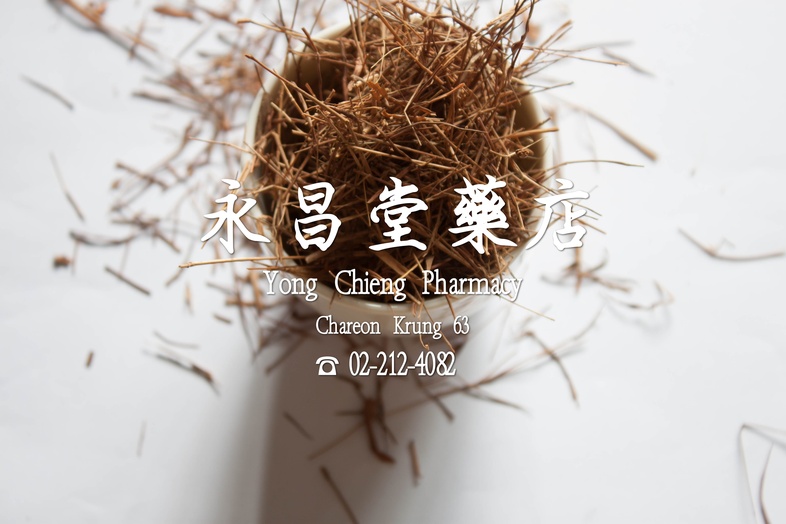  猫毛草  
 