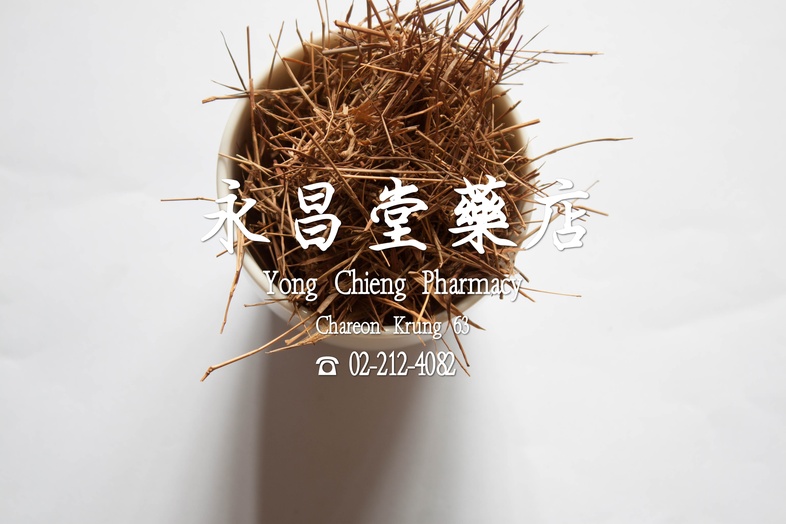  猫毛草  
 