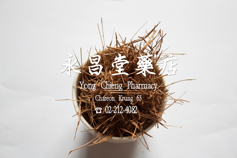  猫毛草  
 