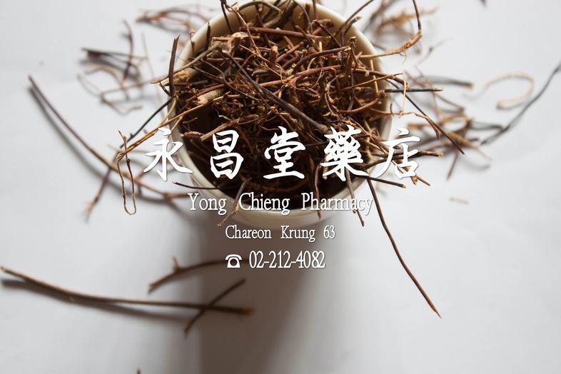  鳮骨草  
 