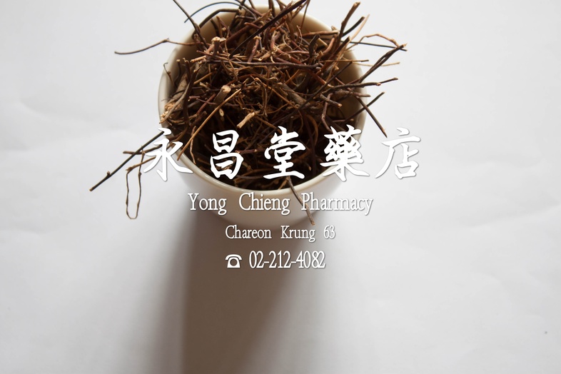  鳮骨草  
 