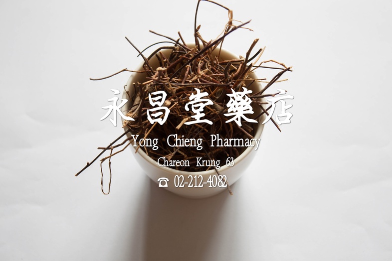  鳮骨草  
 