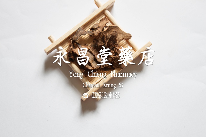 白芨  
 