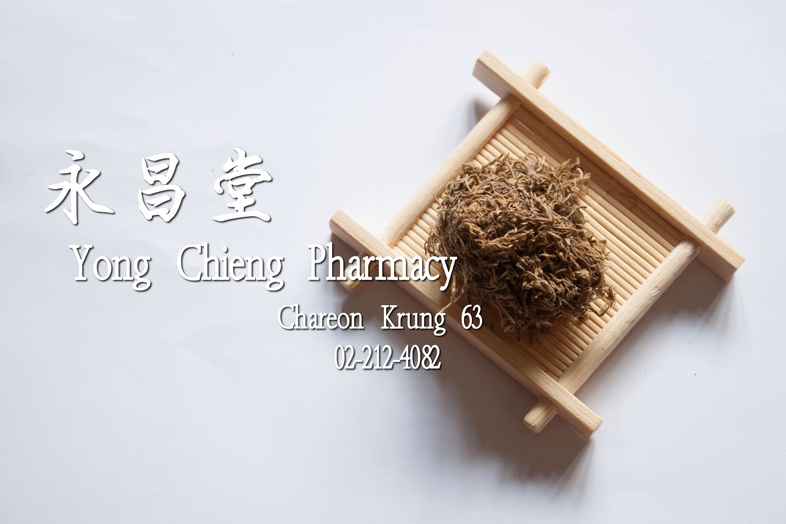 綿茵陳  
 