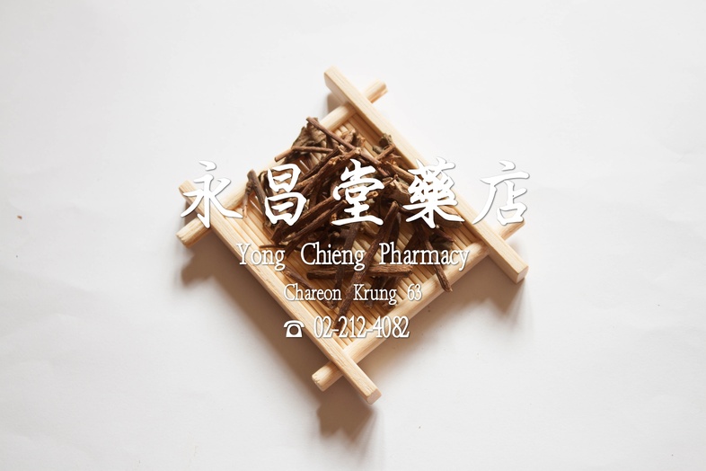 川山龍  
 