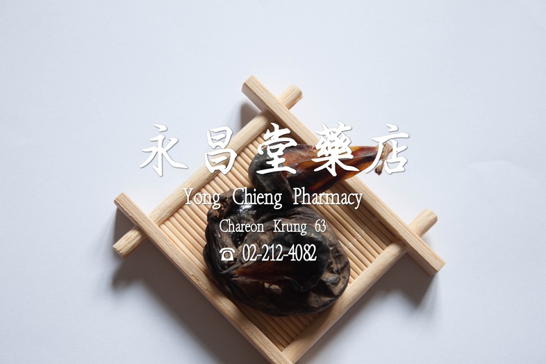 ดีงู 蛇胆  ดีงู 
 