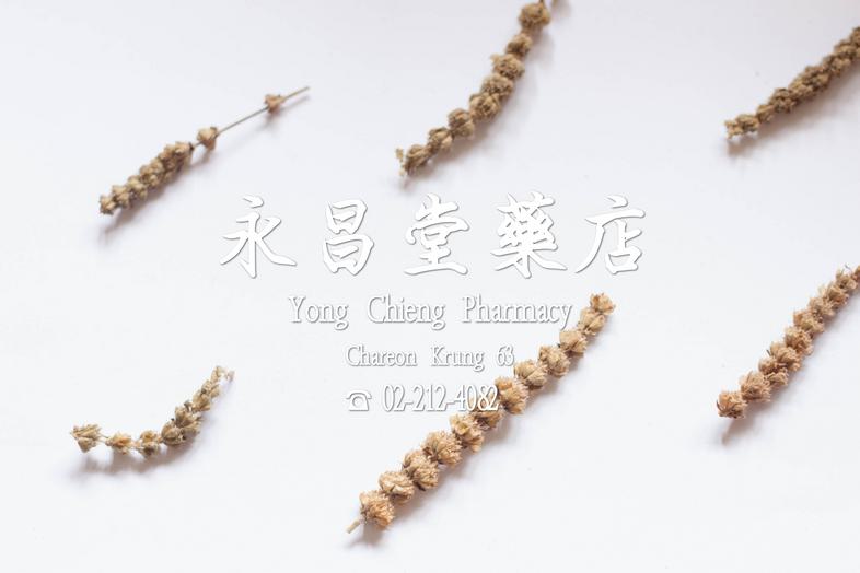 Jinjie, Jinjiesui, Herba Schizonepetae เกงไก้, เกงไก้สุ่ย ส่วนเหนือดินแห้งของพืชที่มีชื่อวิทยาศาสตร์ว่า Schizonepeta tenuif...
