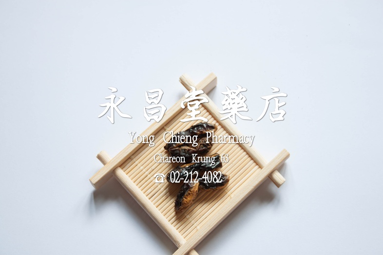  槐角  
 